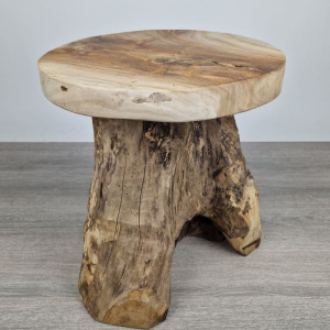 Boomstam kruk teak hout