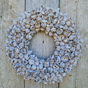 Coco Fruit krans 40 cm 