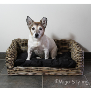 Hundesofa klein