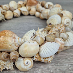 Muschelkranz