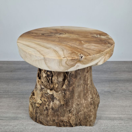 Baumstamm Hocker Teakholz