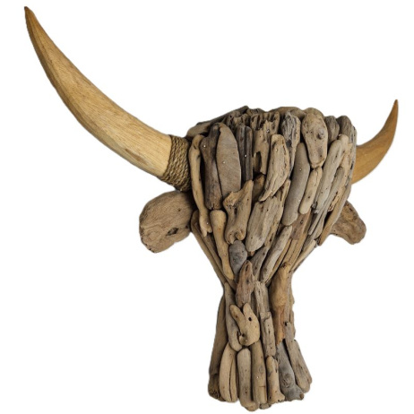 Driftwood kop buffel L drijfhout 