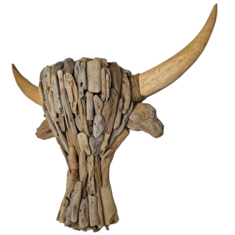 Driftwood kop buffel L drijfhout 