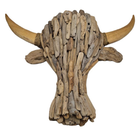 Driftwood kop buffel L drijfhout 