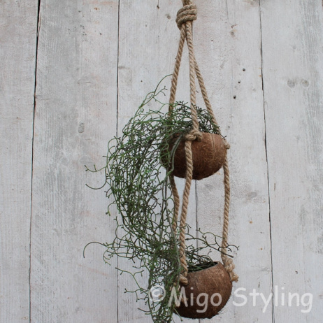 Kokosnoot plantenhanger 2 cups 