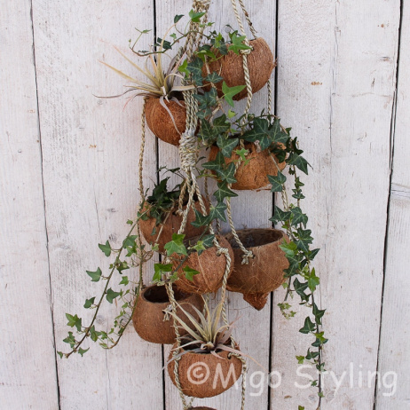 Kokosnoot plantenhanger 3 cups