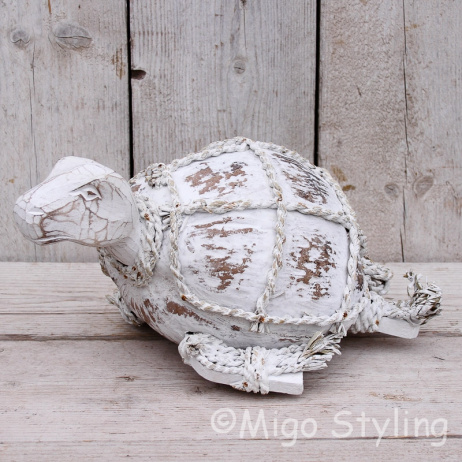 Kokosnoot schildpad