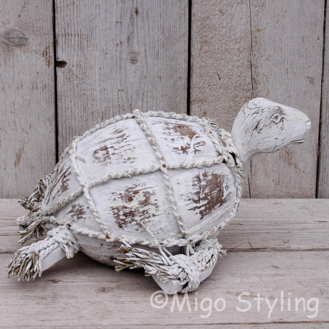 Kokosnoot schildpad  