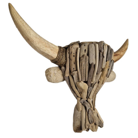 Ossenkop driftwood small -drijfhout 