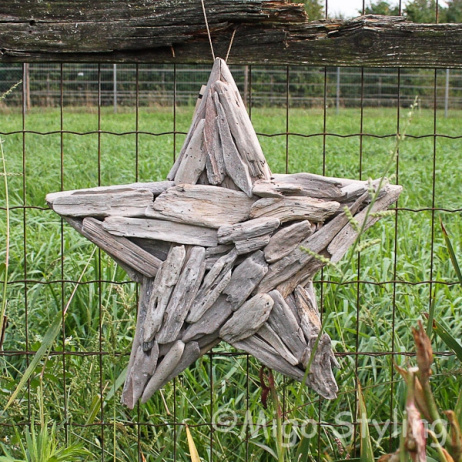 Ster van driftwood white wash 