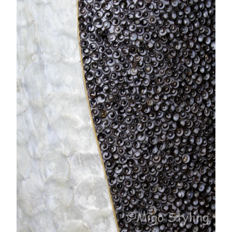 Vloerlamp Schelpen design vloerlamp wit antraciet H 160cm 