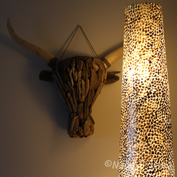 Driftwood kop buffel XL drijfhout  