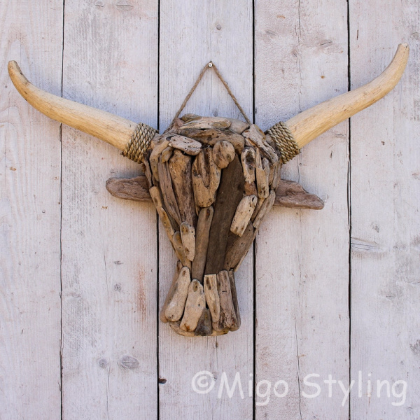 Driftwood kop buffel L drijfhout  