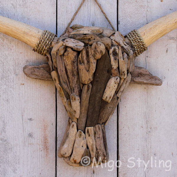Driftwood kop buffel L drijfhout