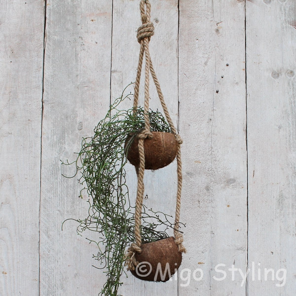 Kokosnoot plantenhanger 2 cups 
