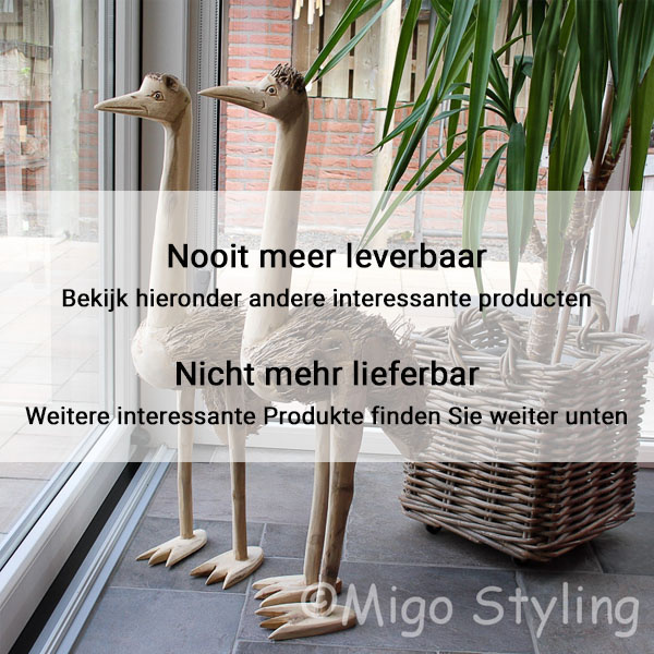Struisvogels houtsnijwerk en wortelstronk 